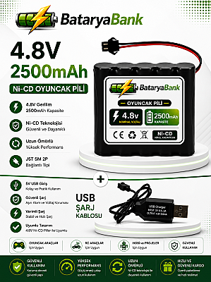 4.8V 2500mAh Oyuncak Pili Siyah Soket + USB Şarj Aleti | Ni-MH Şarjlı Batarya Seti - 1