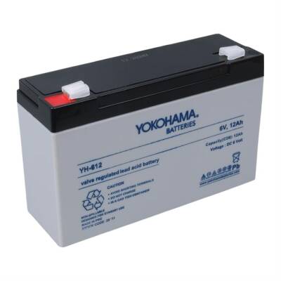 6 Volt 12 Amper Jeep,motor,oyuncak Araç Araba Aküsü 6v 12ah Kuru Akü - 2